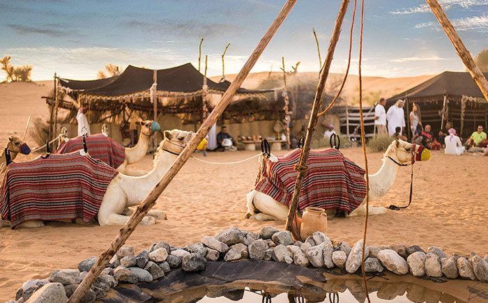 Morning Desert Safari in Dubai - Explore Bedouin Culture