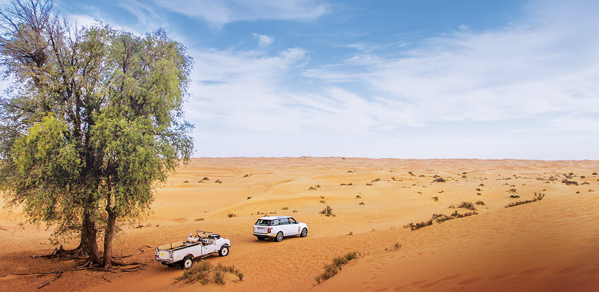 Can I go on a Desert Safari in Dubai in Summer?