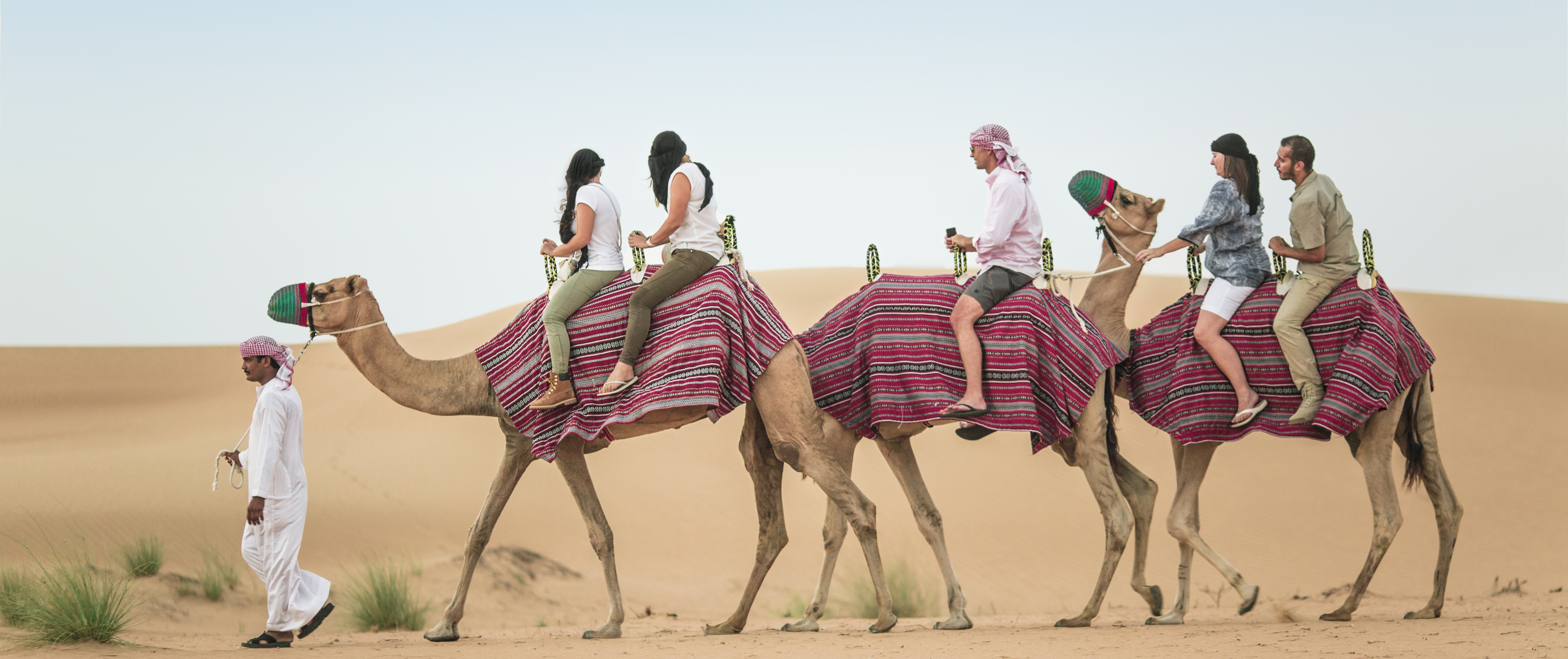 Camel Safari – A Must do in Dubai