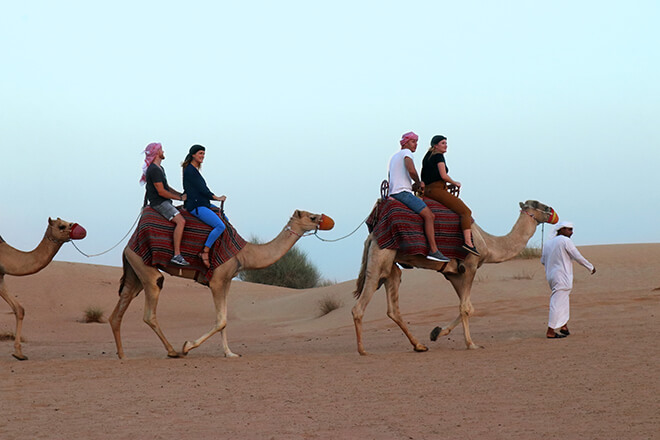 Ethical Camel Trekking In Dubai